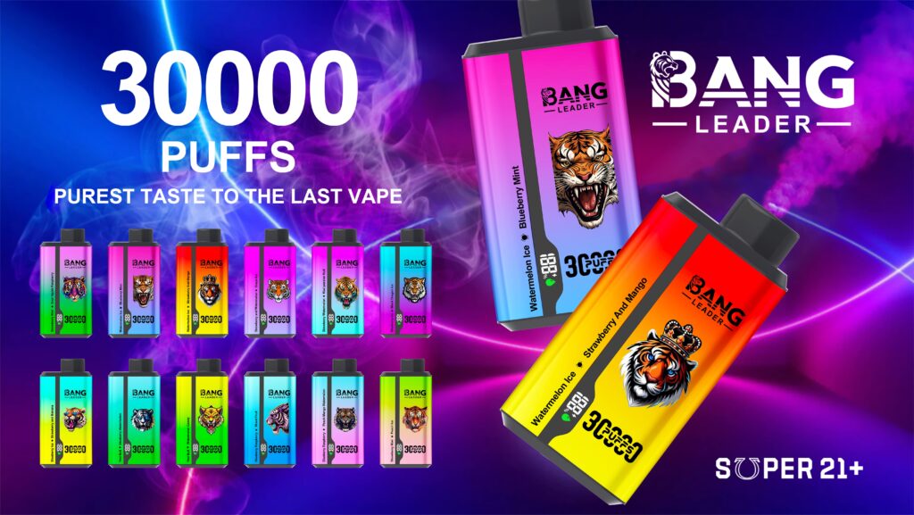 Bang Leader 30000 Blueberry Raspberry/Mixed Fruit