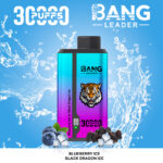 Bang Leader 30000 Blueberry Ice/Black Dragon Ice