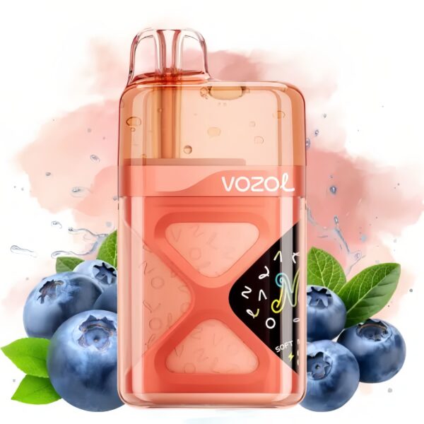 Vozol Neon 60000 Blueberry Energy