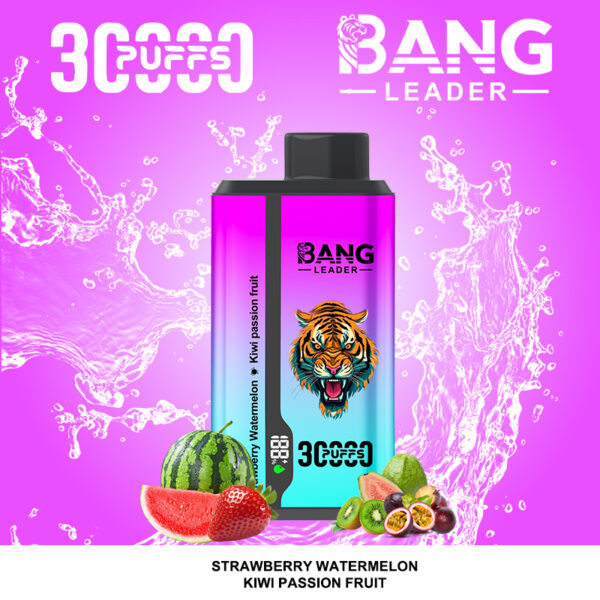 Bang Leader 30000 Strawberry and Watermelon/Kiwi Passion Fruit Guava