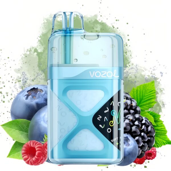 Vozol Neon 60000 Mixed Berry