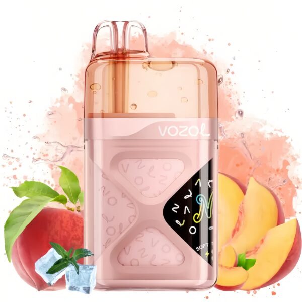 Vozol Neon 60000 Peach Ice