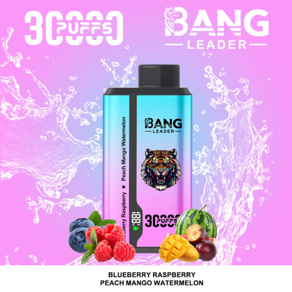 Bang Leader 30000 Blueberry Raspberry/Peach Mango Watermelon