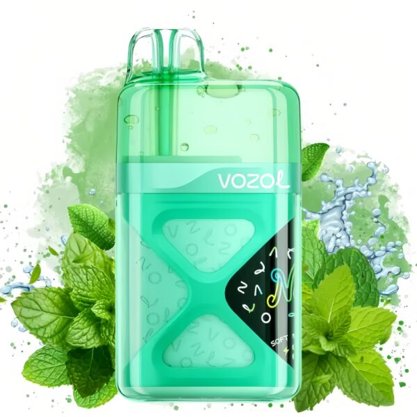 Vozol Neon 60000