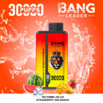 Bang Leader 30000 Watermelon Ice/Strawberry And Mango