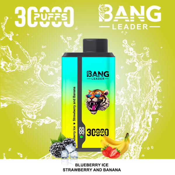 Bang Leader 30000 Blueberry Ice/Strawberry and Banana