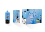 Bang Leader 85000 Love 666/Blueberry Raspberry/Vimto