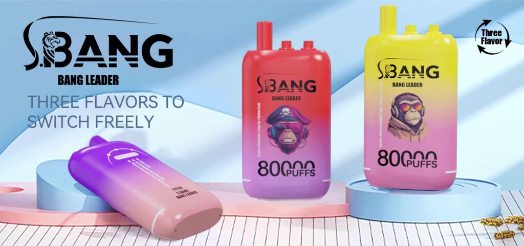 Bang Leader 80000 Blueberry Watermelon/Strawberry Mango/Blackcurrant