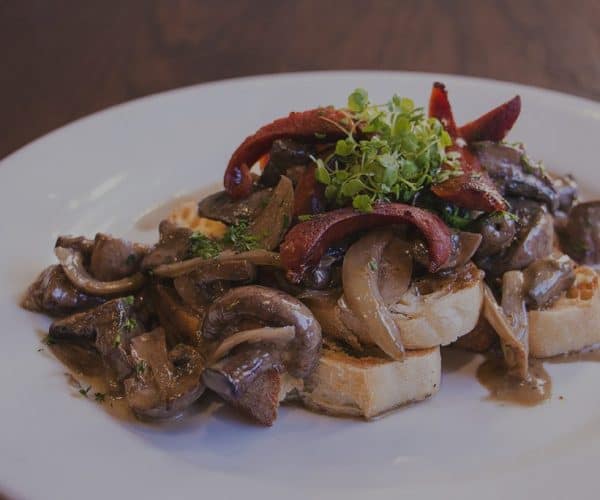 Savoury mushroom and onion topping on toasted bread at Lush Cafe, Centre City, NZ.