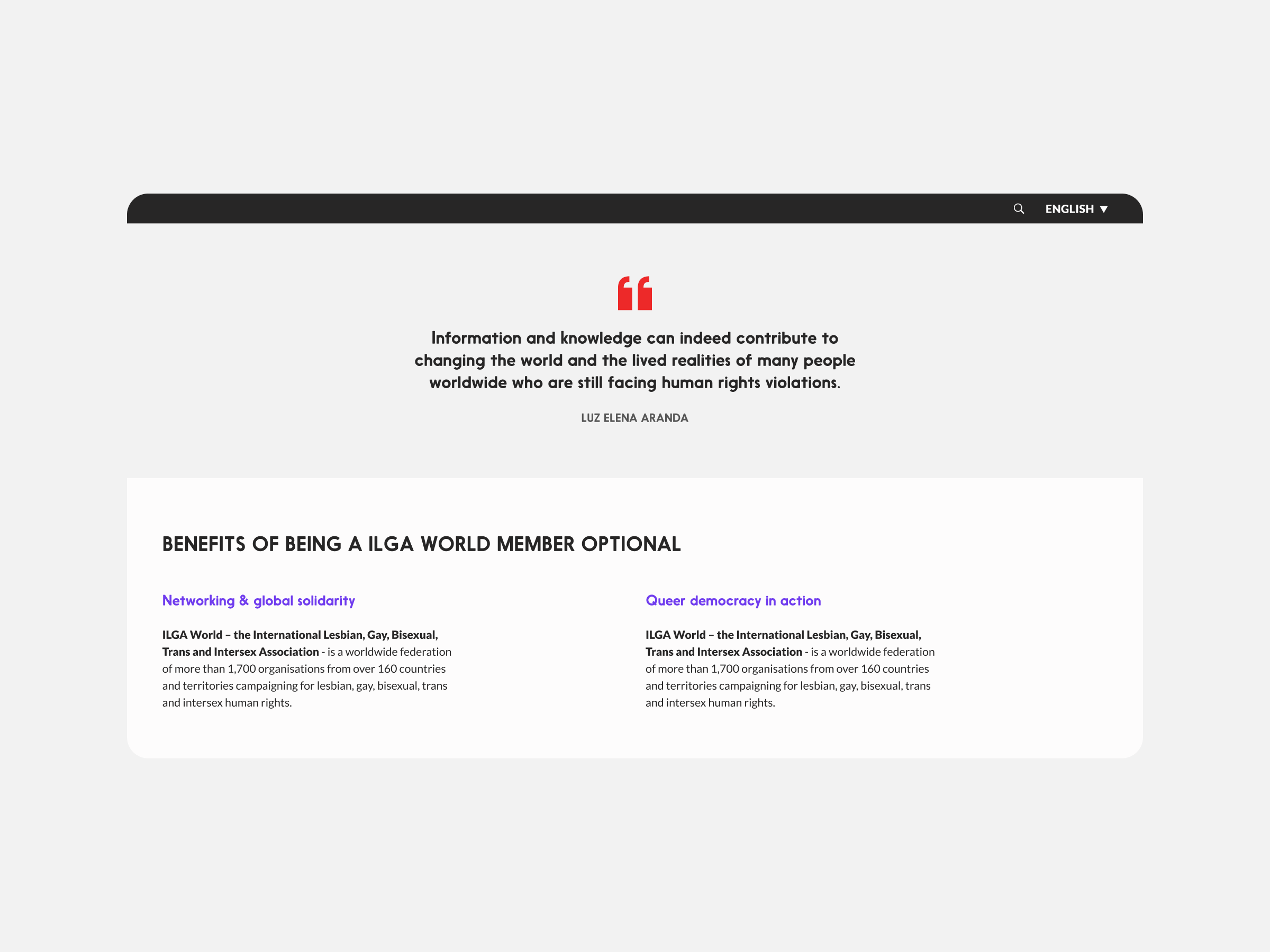 Image displaying a webpage featuring a quote on informations influence on human rights. Sections titled Networking & Global Solidarity and Queer Democracy in Action describe ILGA Worlds support for diverse communities.