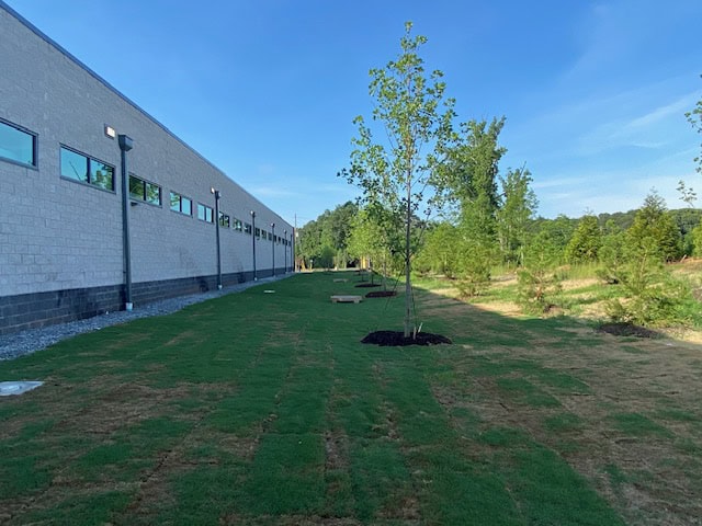 Lidl supermarket Decatur GA — finishing and closeout activity (view 6) during ground-up commercial construction by Modern Day Commodities