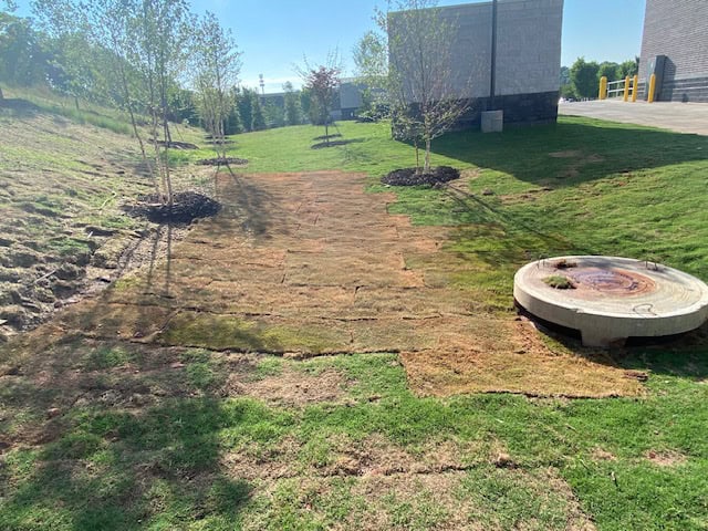 Lidl supermarket Decatur GA — finishing and closeout activity (view 5) during ground-up commercial construction by Modern Day Commodities