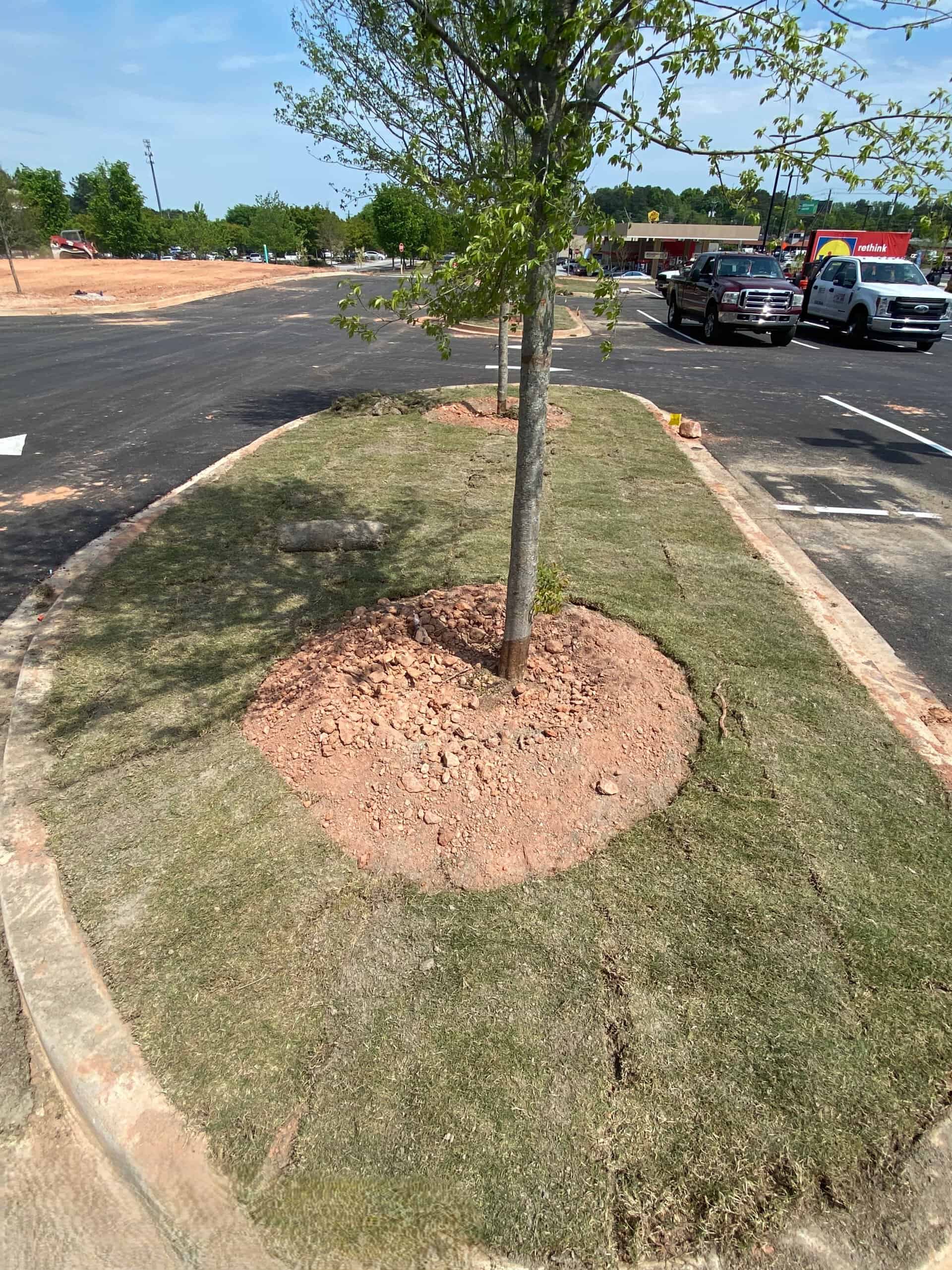 Lidl supermarket Decatur GA — ground-up commercial construction progress (view 41) during ground-up commercial construction by Modern Day Commodities