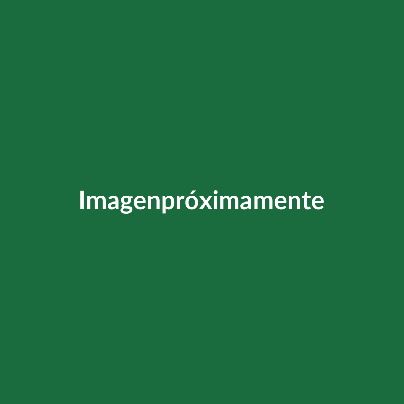 Imagen próximamente - EPSON SC-G9000 Media Edge Plate