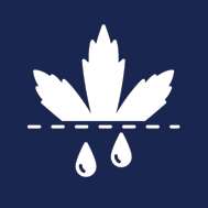 Precision cannabis drying equipment at Mach Technologies for optimal product quality.