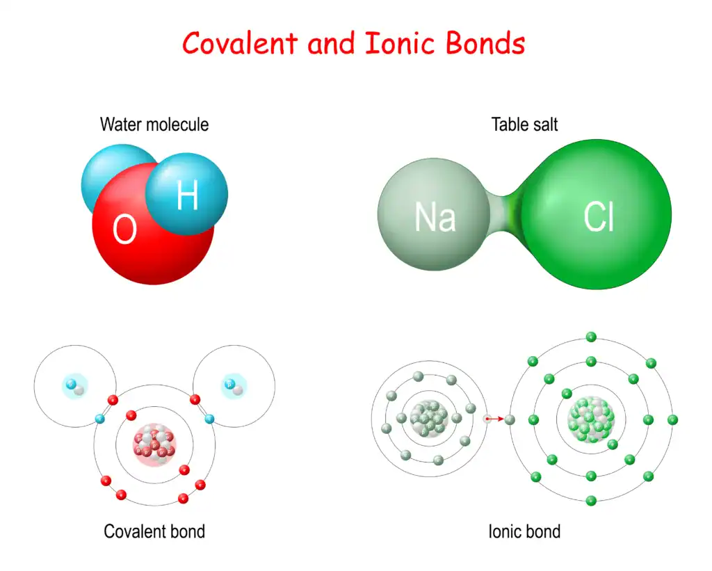 Water molecule covalent bond illustration.