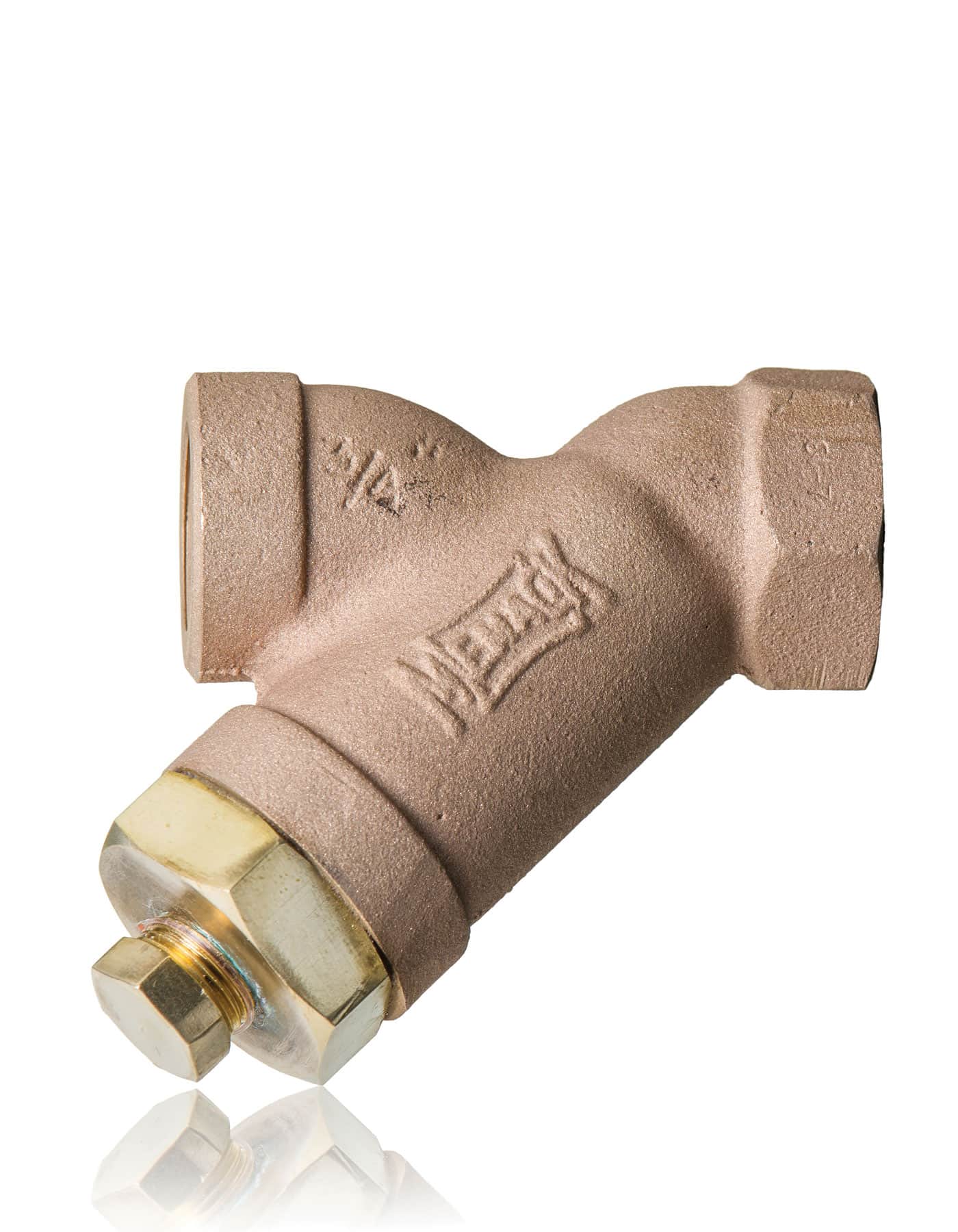 Y-Strainer