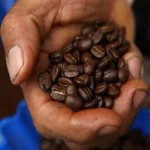 Cusco Coffee: A Guide to Peru’s Coffee Culture