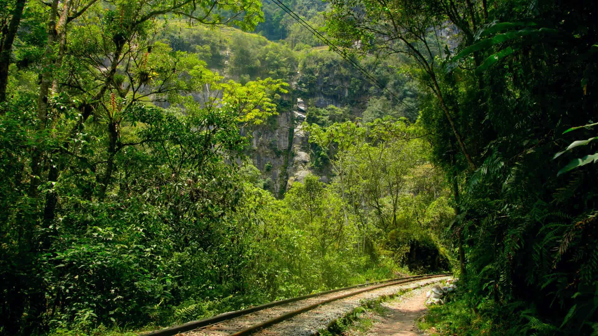 Railway tracks winding through lush green jungle on the way from Cusco to Machu Picchu – Cusco Magical Travel Agency