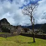 Best Time to Visit Machu Picchu in 2026: Strategic Planning Guide for Smart Travelers