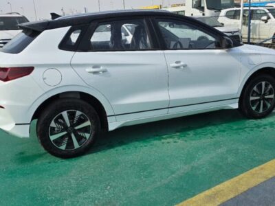 2024 BYD E2 Pure Electric Vehicle EV White Black