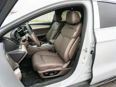 2025 BYD HAN DM-I 125KM ELITE SMART DRIVING EDITION White Brown