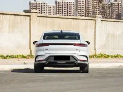 2025 BYD HAN DM-I 125KM ELITE SMART DRIVING EDITION White Brown