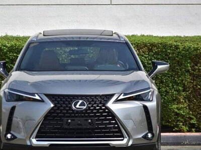 2024 Lexus UX 200 2.0L Inline-4 Petrol Engine Silver Tan SUV FWD