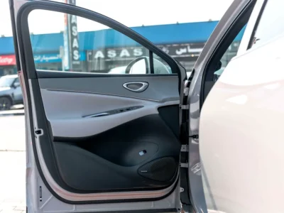 2025 BYD SEALION 06 DM-i Hybrid 4 Cylinders Engine Grey White SUV