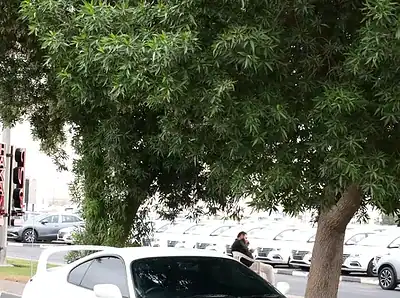 1996 Toyota Supra Premium 6 Cylinders Engine White Black Sports Car