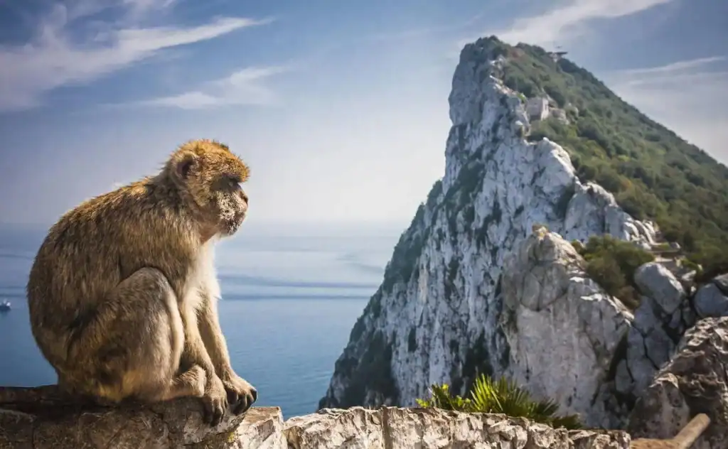 Britisk telefonboks og flag i Gibraltars bymidte