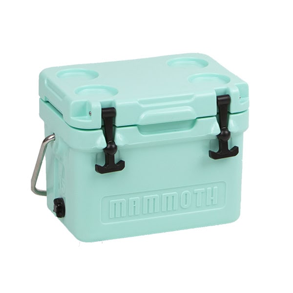 seafoam teal cruiser cooler