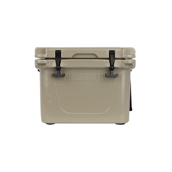 tan front view ranger 25