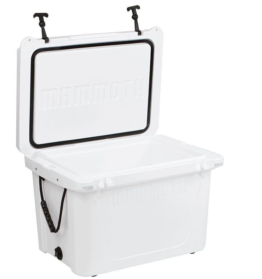 white ranger 65 side angle view open top