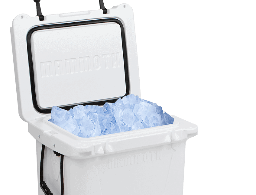 ranger 25 with ice inside