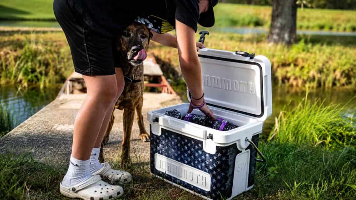Why Your Cooler Still Smells After Cleaning And What You're Missing (1)