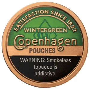 COPENHAGEN POUCH WINTERGREEN  5CT