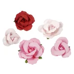 ROSES 36CT