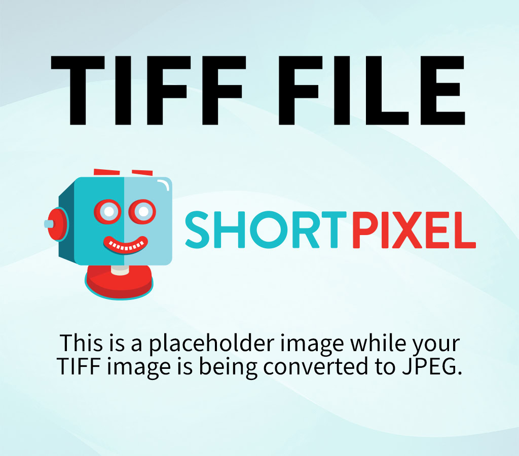 SWEDISH FISH 24CT - Image 4