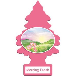 AIR FRESHNER MORNING FRESH  24CT