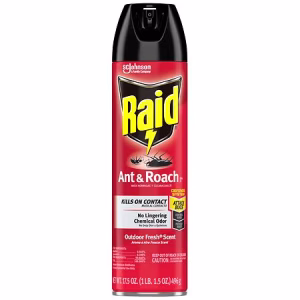RAID ANT & ROACH KILLER TX