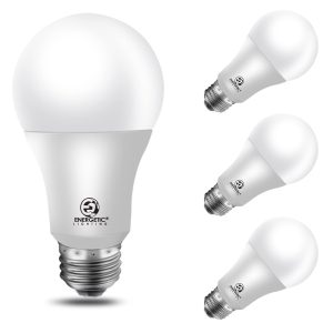 LIGHT BULBS 100W 3CT TX