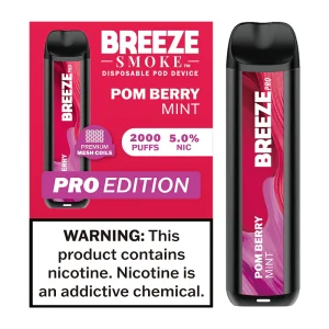 BREEZE PRO 2000 POMGRANATE BERRY MINT 10CT