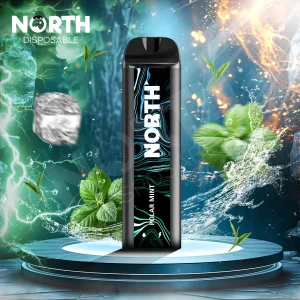 NORTH 5000 PUFFS POLAR MINT