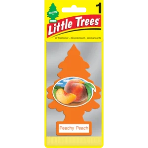 AIR FRESHNER PEACH 24CT