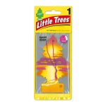AIR FRESHNER BEACH 24CT