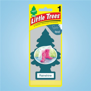 AIR FRESHNER RAINSHINE 24CT