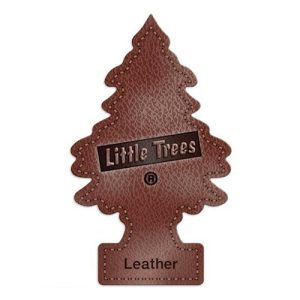 AIR FRESHNER LEATHER 24CT