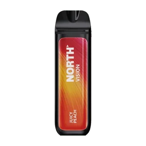 NORTH 15K PUFFS JUICY PEACH