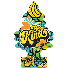 AIR FRESHNER BE KIND 24CT